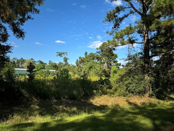 Property Photo:  Lot 74 Pine Park Boulevard  TX 77632 