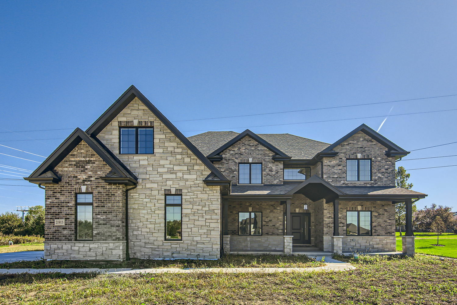21915 Mary Drive  Frankfort IL 60423 photo