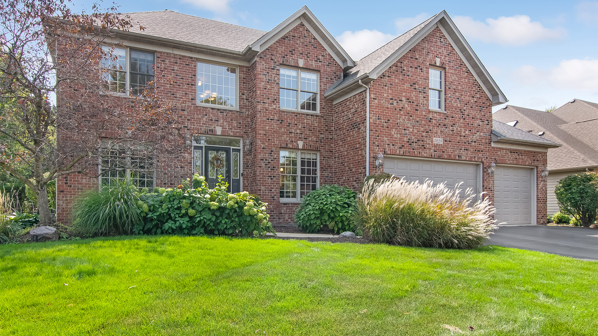 3828 Mistflower Lane  Naperville IL 60564 photo