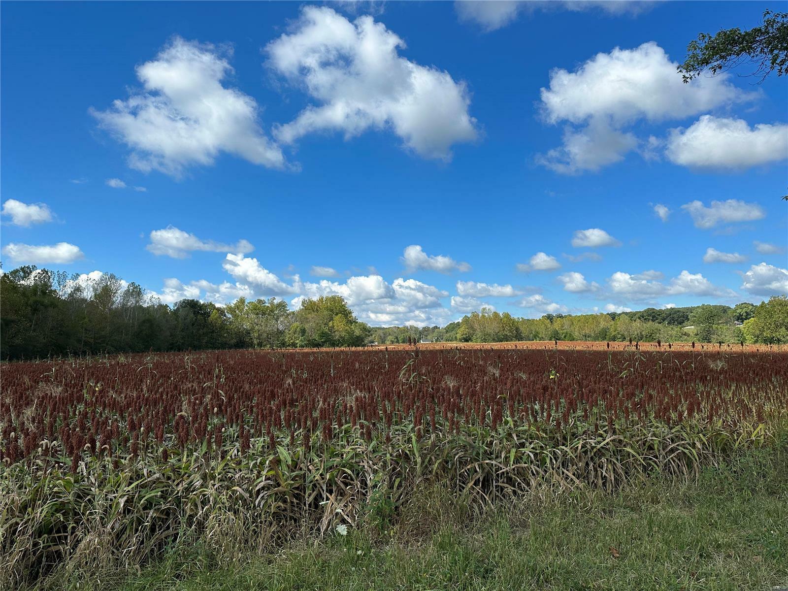 Property Photo:  0 Bend School Lane  MO 63084 