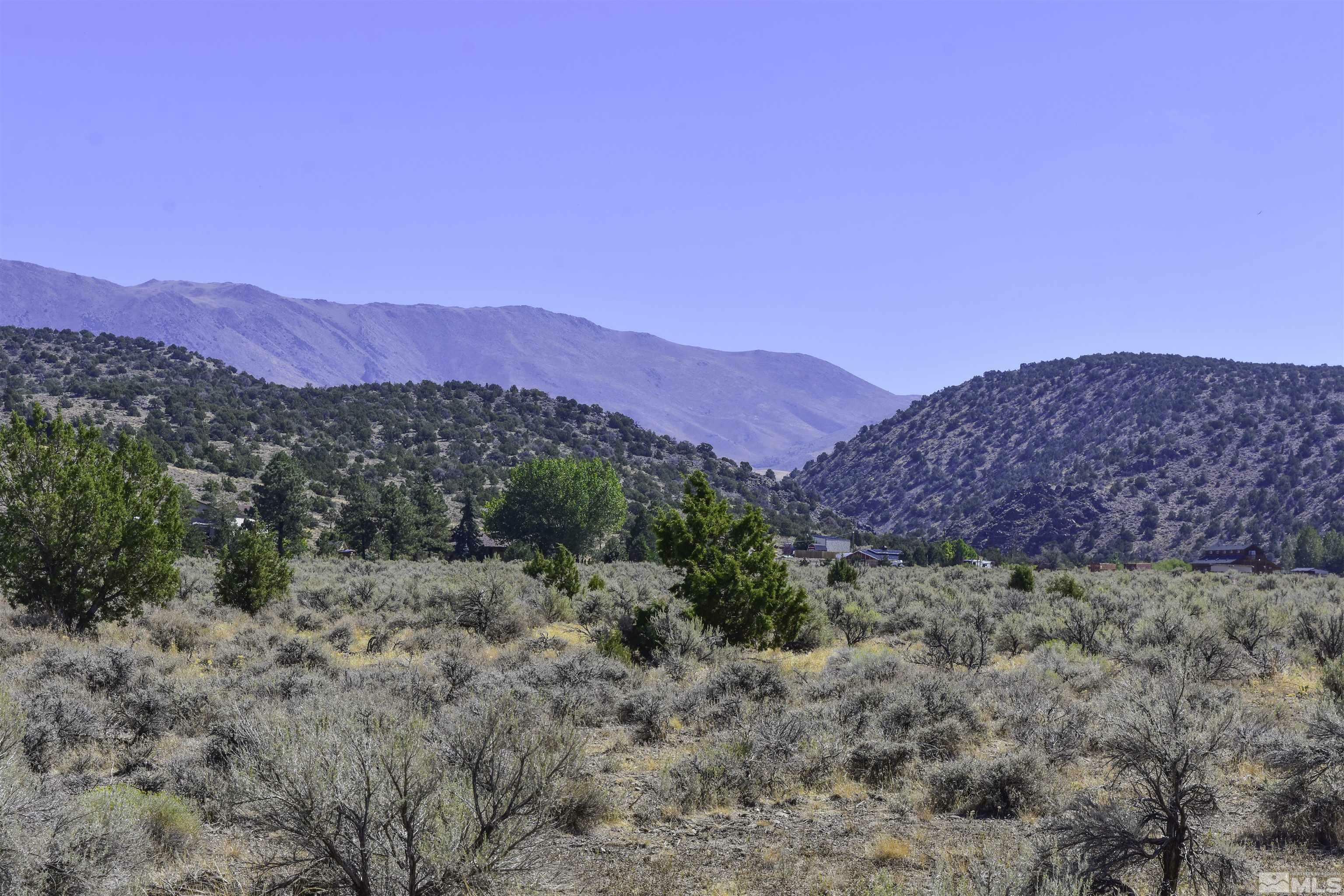 Property Photo:  1167 Out-R-Way 1  NV 89410 