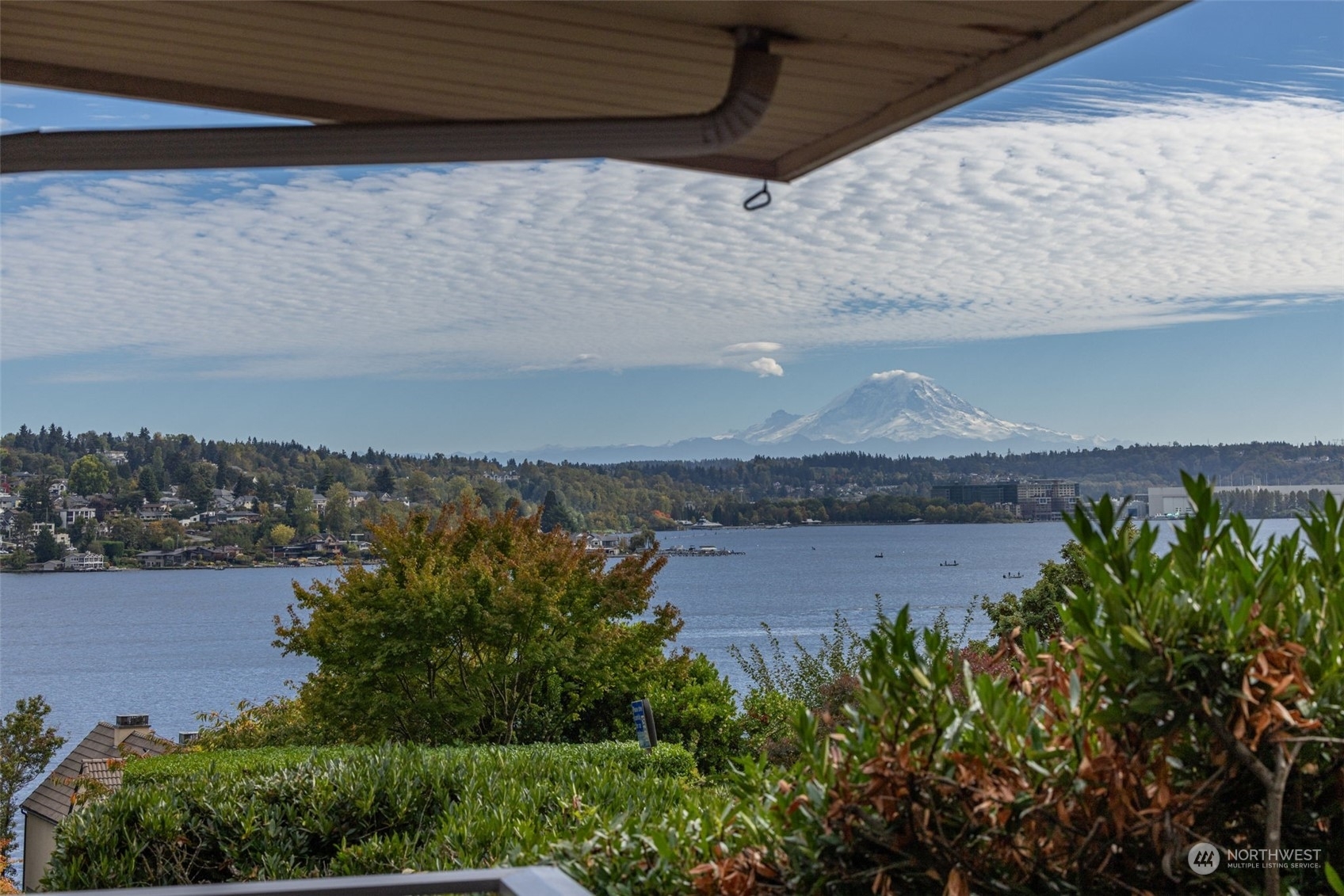 Property Photo: 8203 Avalon Drive WA 98040