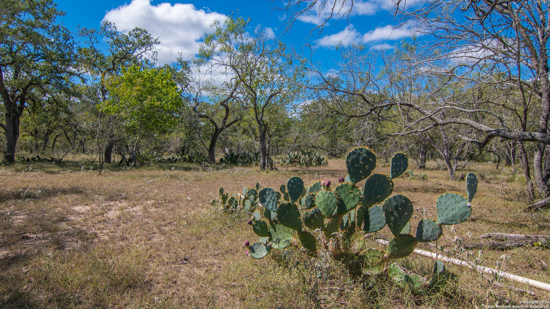 Property Photo:  Tbd County Road 434  TX 78155 