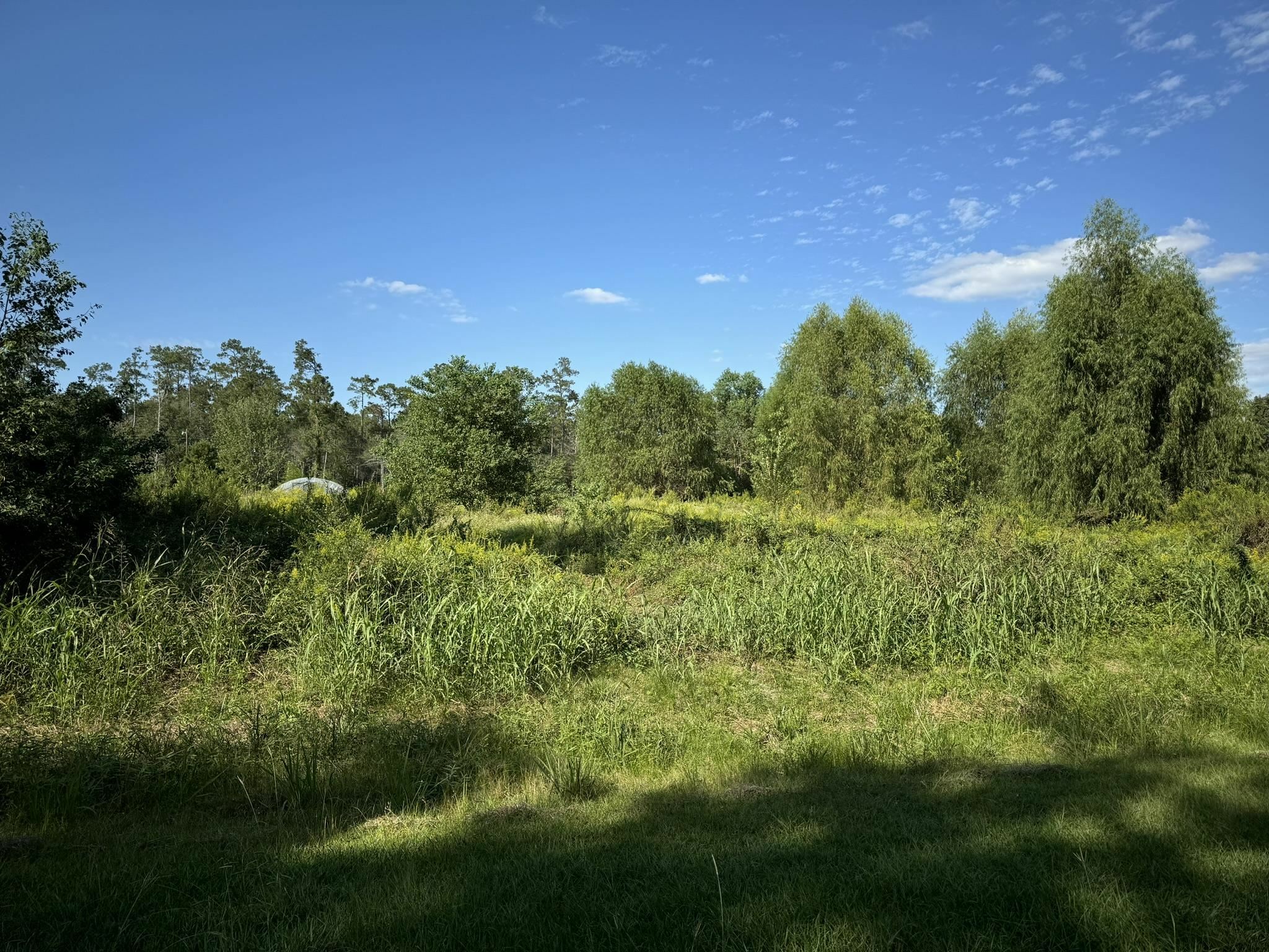 Property Photo:  Lot 76 Pine Park Blvd  TX 77632 