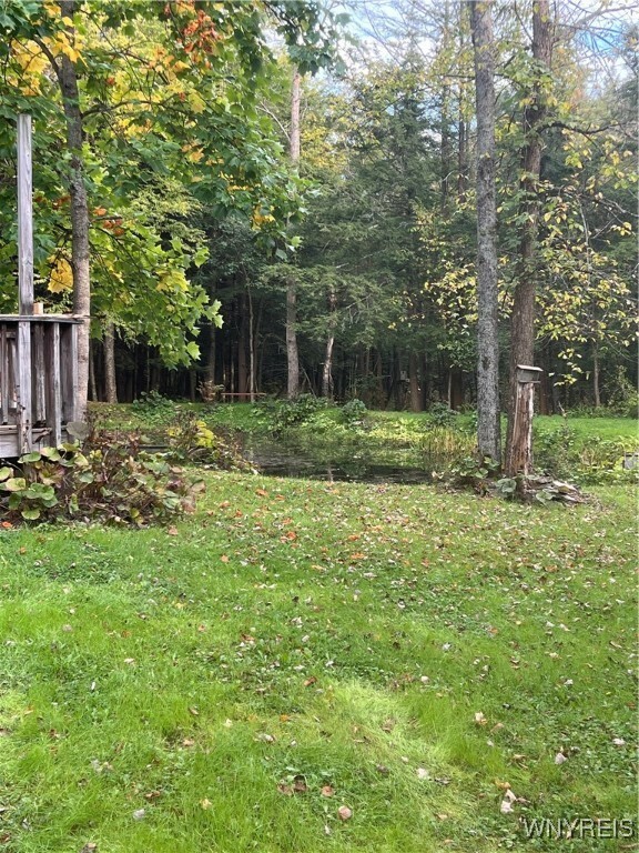 Property Photo:  7720 Fancy Tract Road  NY 14731 