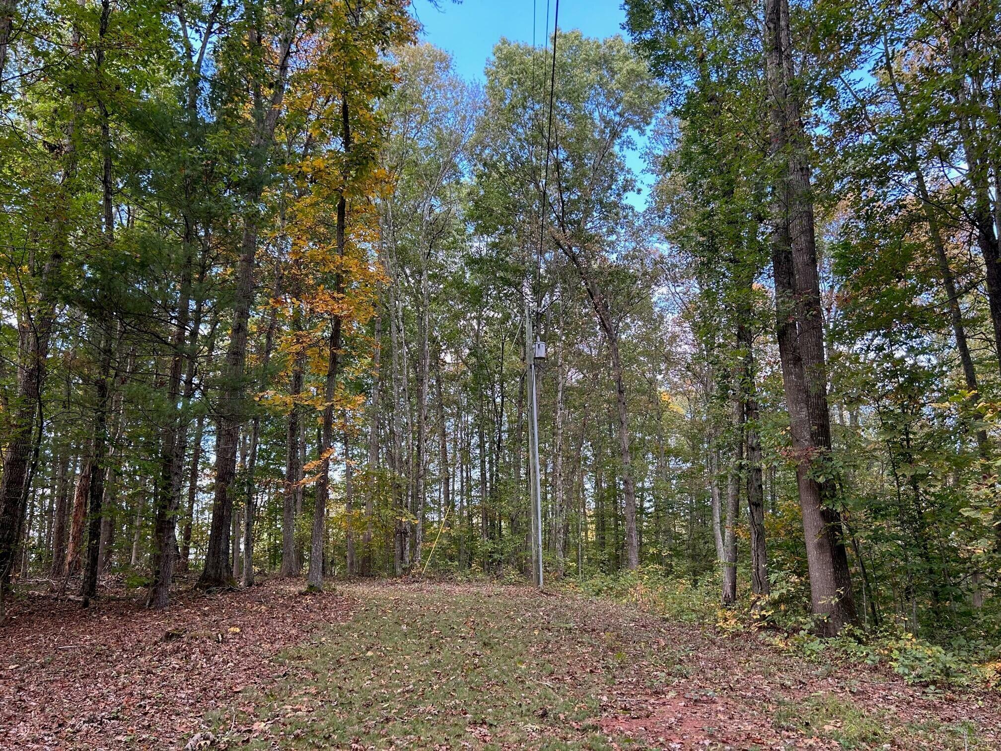 Property Photo:  Lot 3 871 Fleshman Dr  WV 24938 