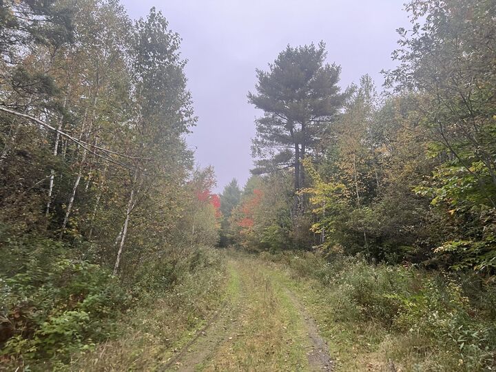 76 Meadow Road  Winterport ME 04496 photo