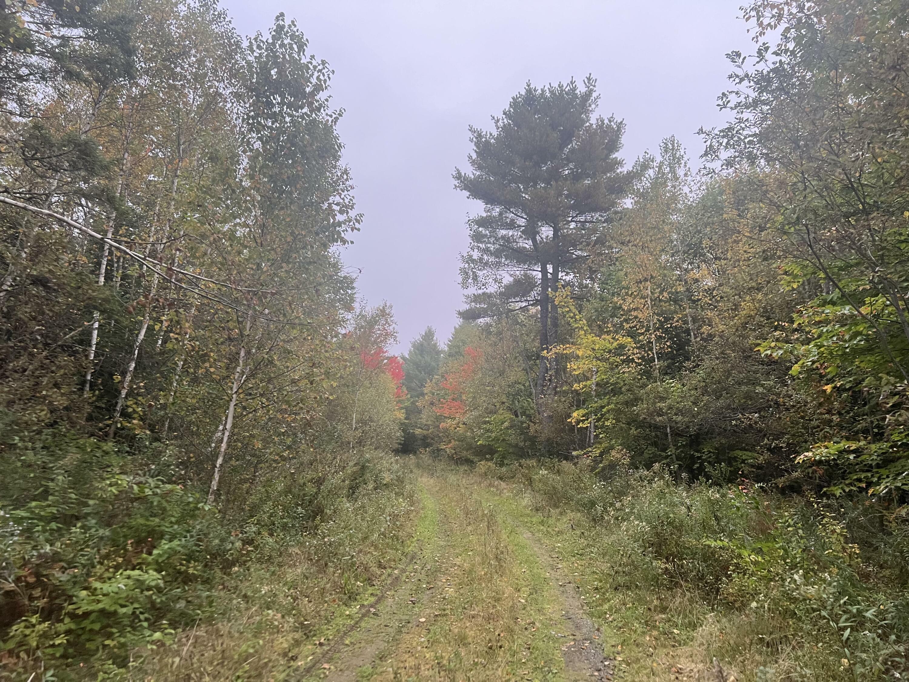 Property Photo: 76 Meadow Road ME 04496