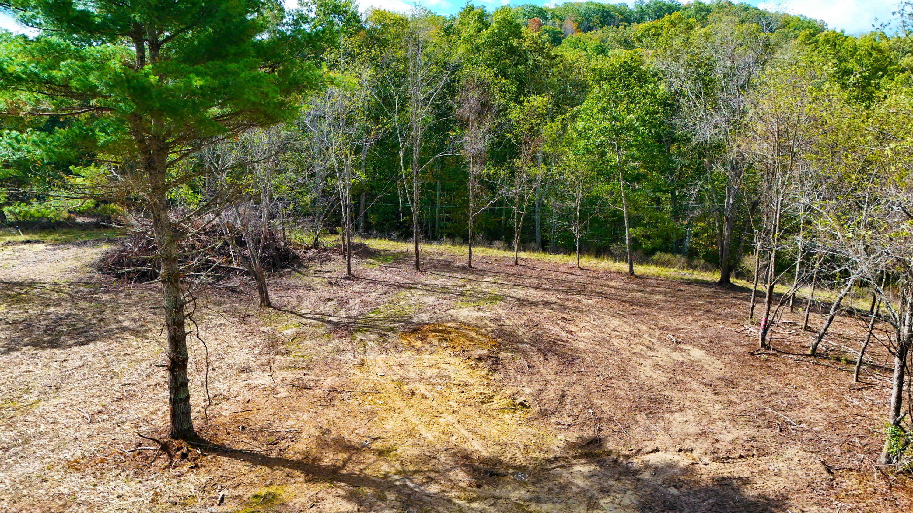 Property Photo:  Price Run Rd  WV 24901 