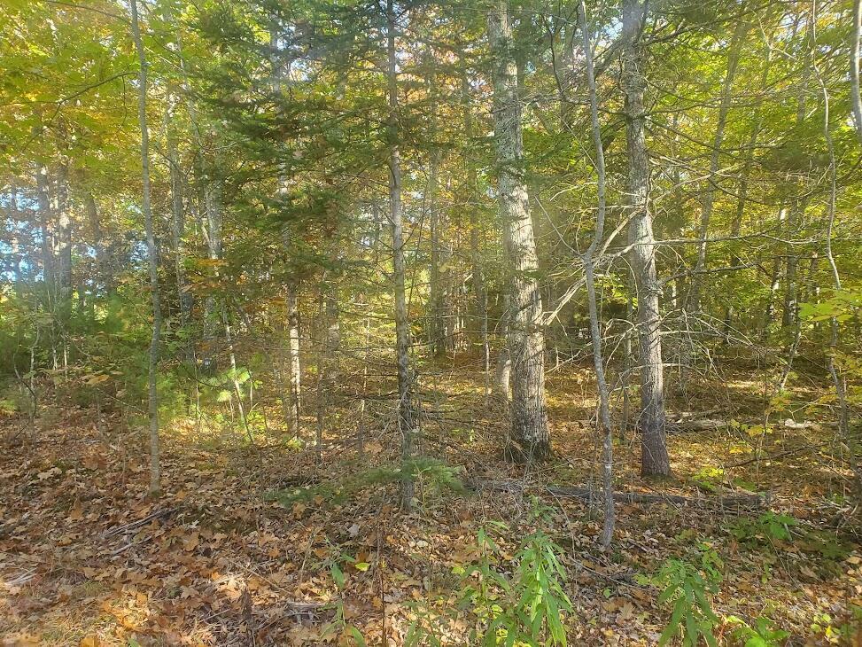 Property Photo:  Lot 24-1 Lillian'S Lane  ME 04932 