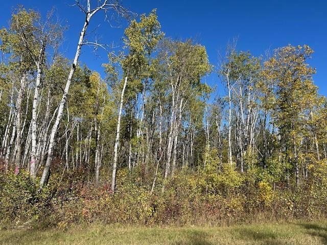 Property Photo: 1 Ironwood Point Road MB R0E 0E0