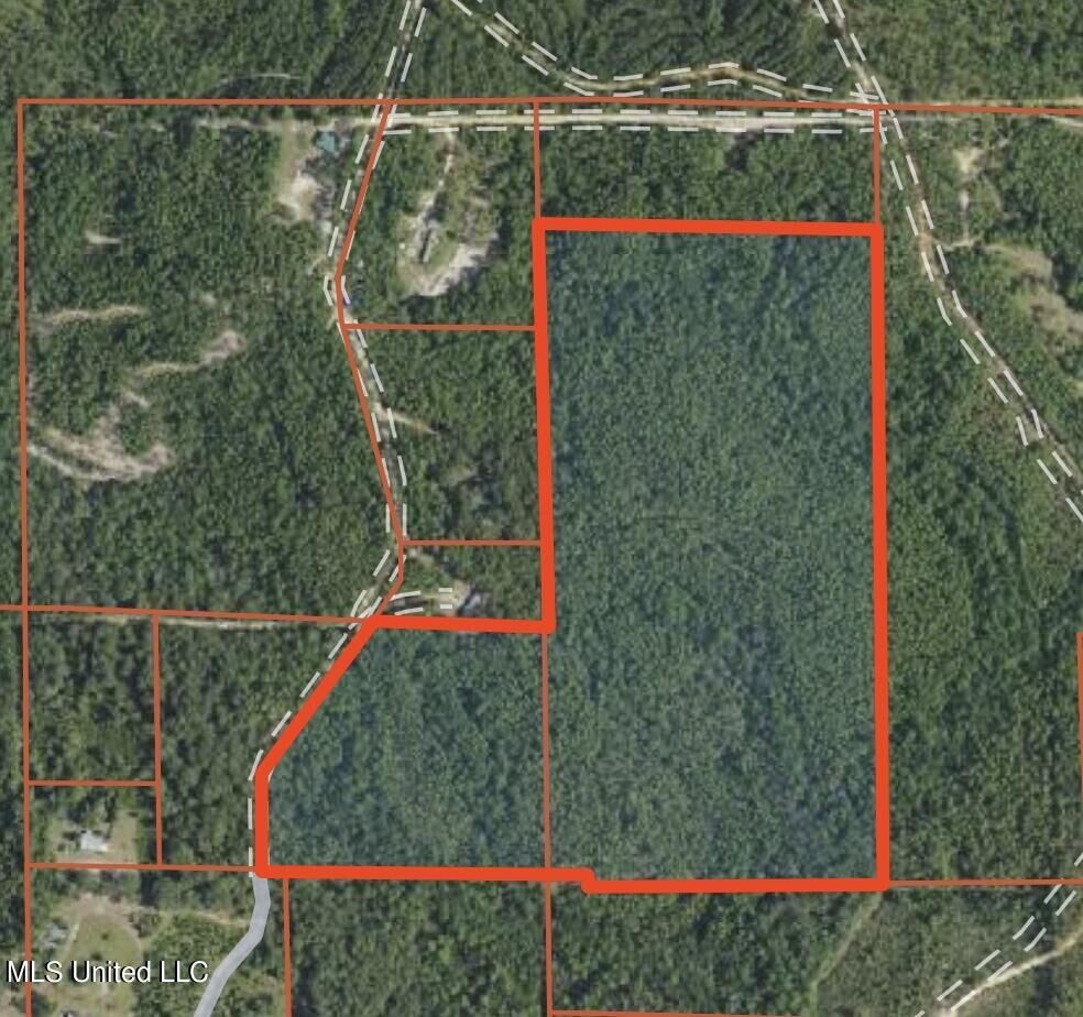 Property Photo:  44+/- Ac Burnis Havard Rd  MS 39573 