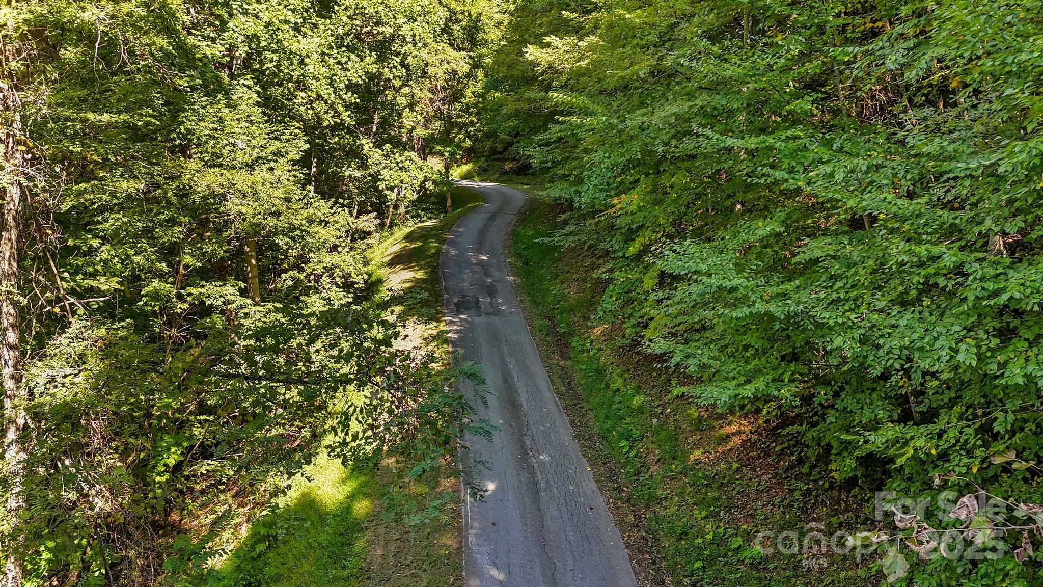 Property Photo: 0 Brush Creek Mountain Road 41 NC 28713