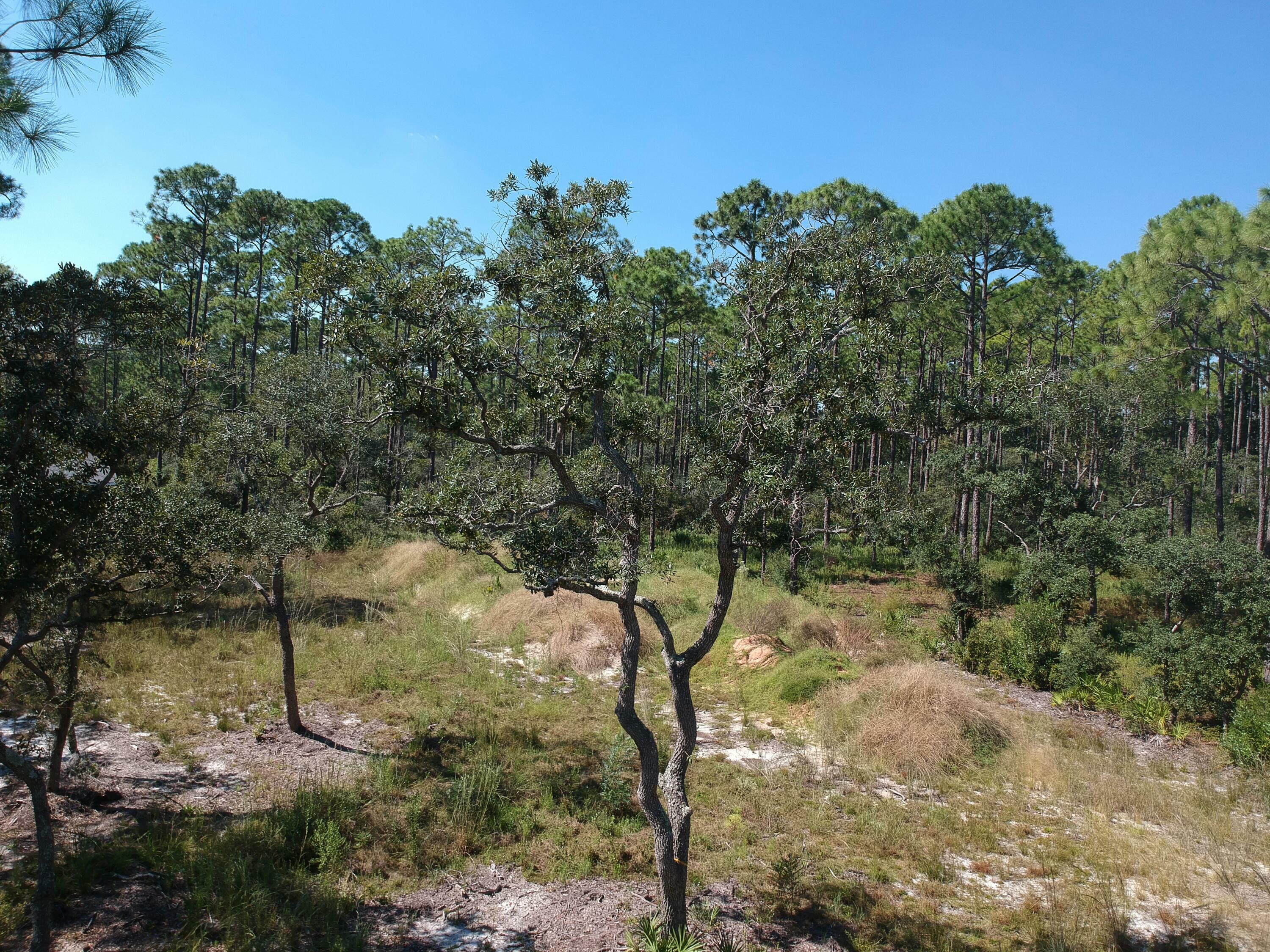 Property Photo:  Lot 30 Cross Creek Circle  FL 32439 