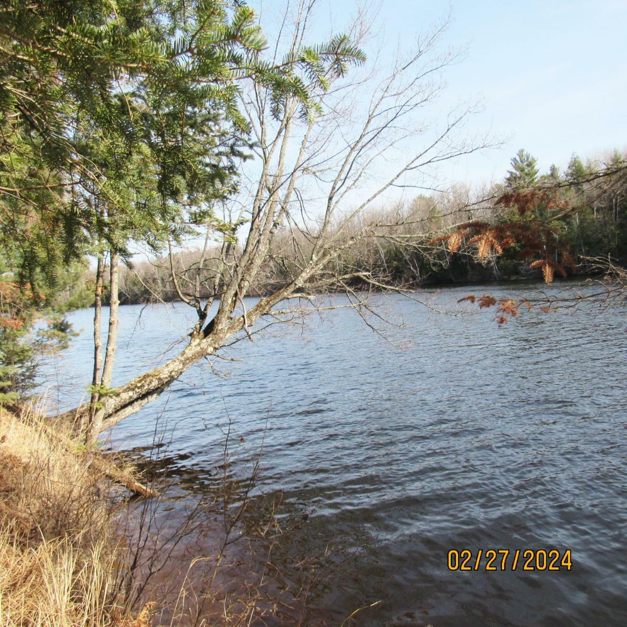 Property Photo:  25.8acre Adams Ln  WI 54487 