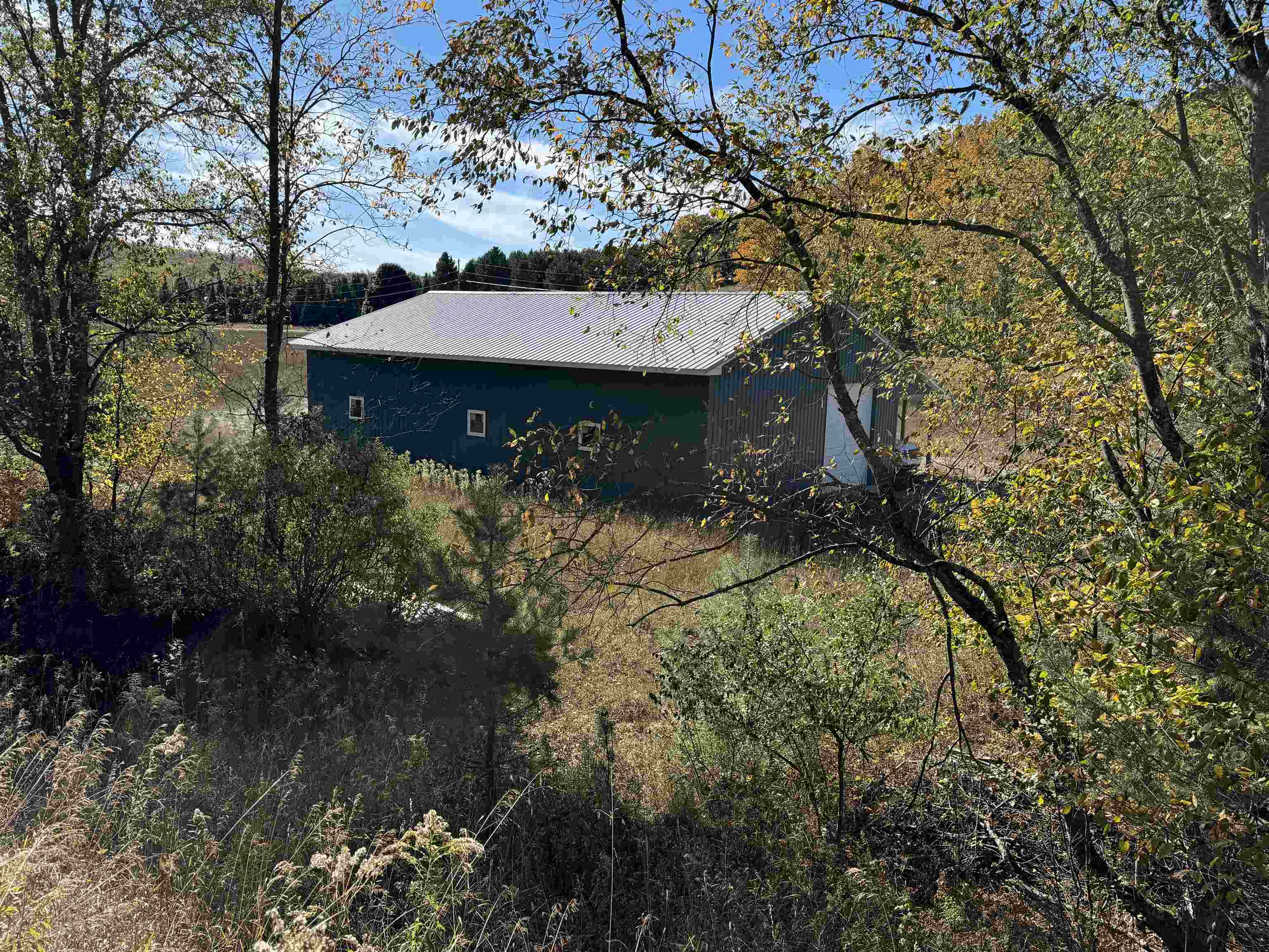 Property Photo:  8335 S Tremain Road  MI 49664 