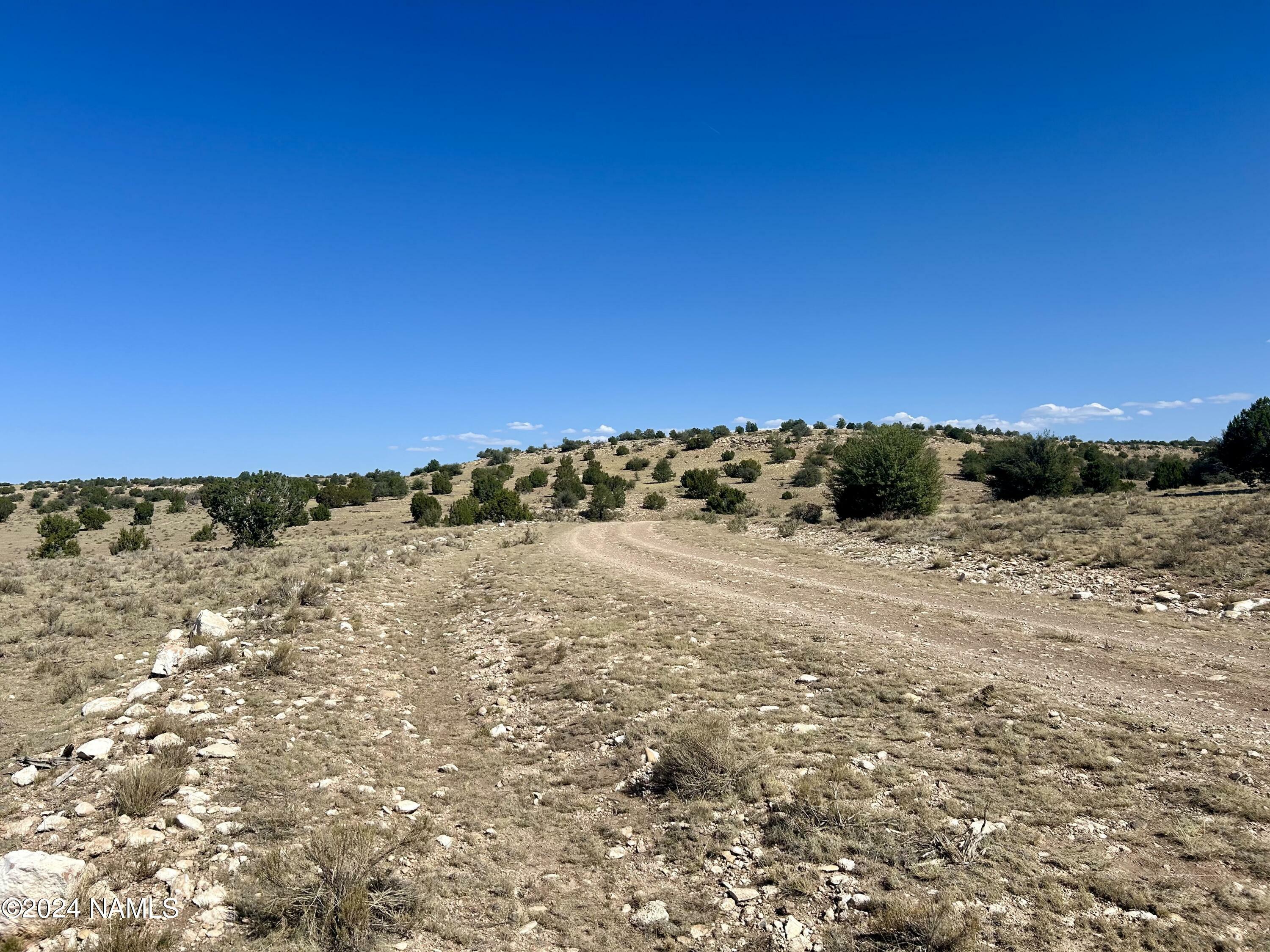 Property Photo:  Tbd (B) W Clove Hitch Road  AZ 86046 