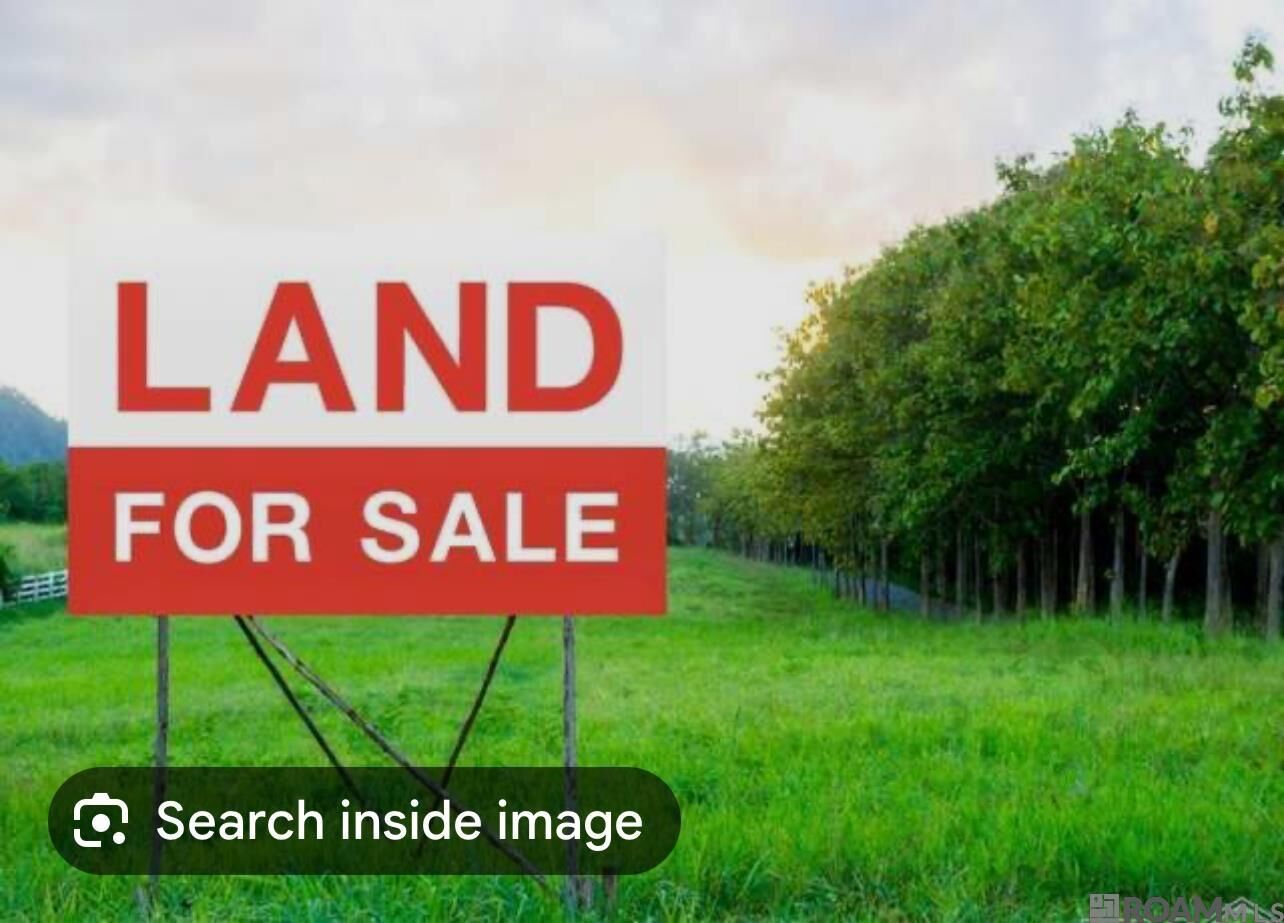 Property Photo:  Lot - 104 Ravier Ln  LA 70776