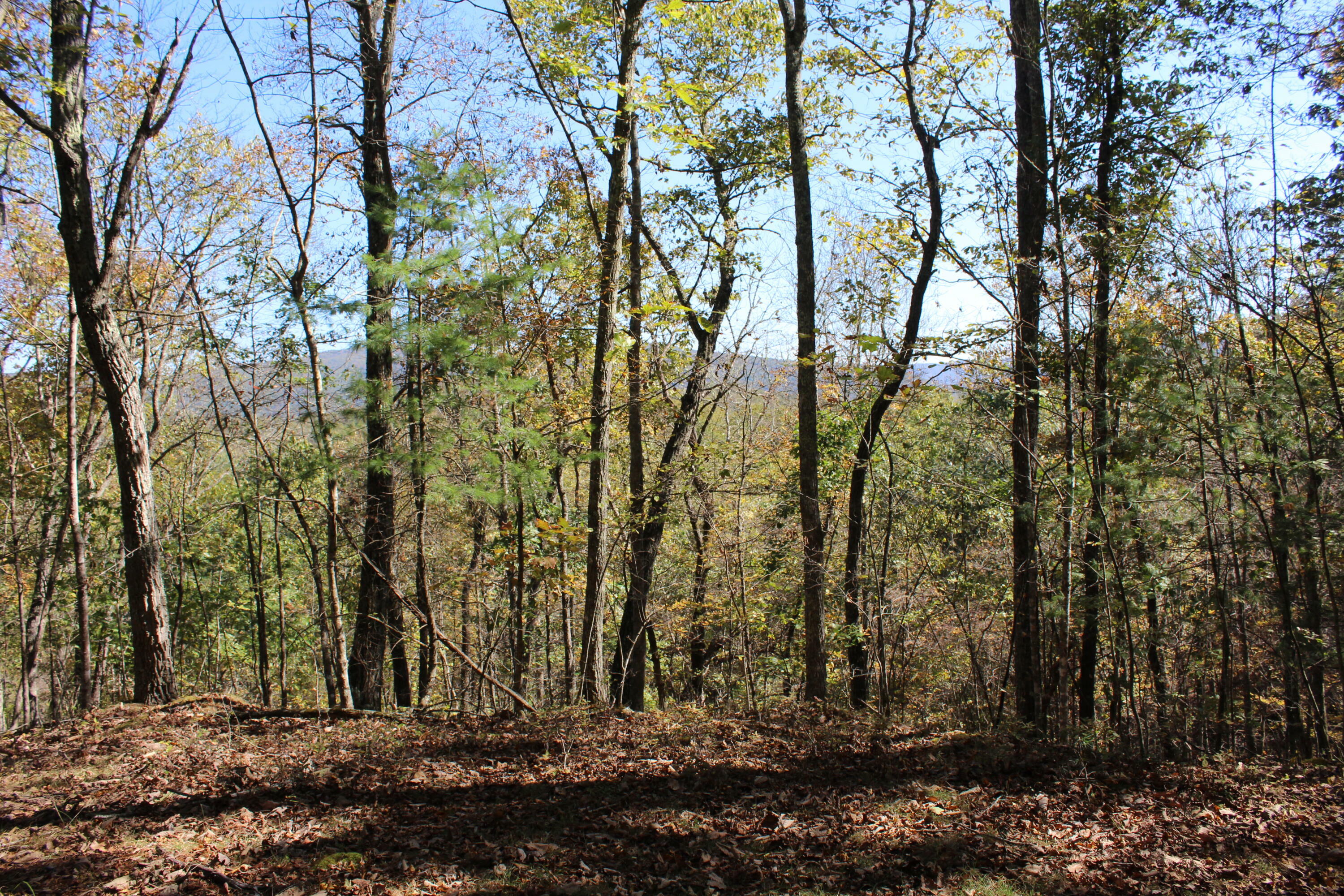 Property Photo:  Highland Trail  WV 24901 