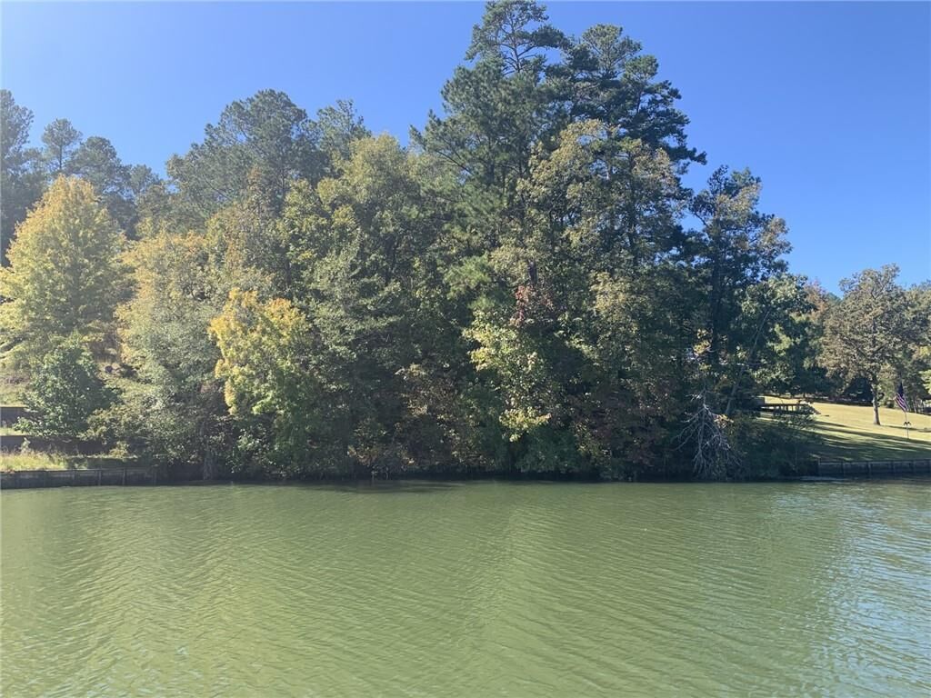 Property Photo:  0 Harbour Pointe  GA 31087 