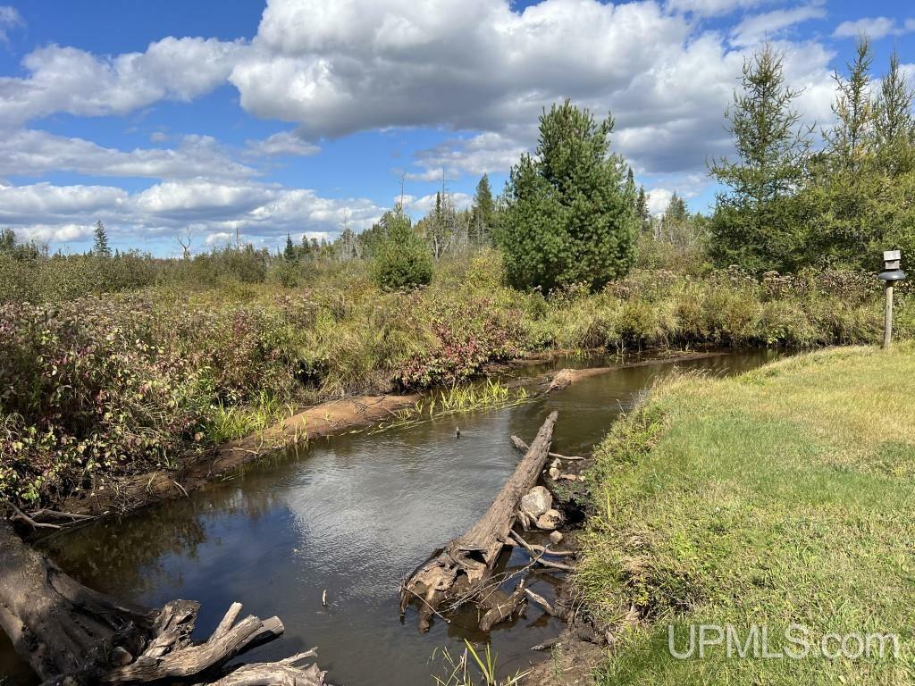 Property Photo:  E8096 Co Rd 440 Road  MI 49825 