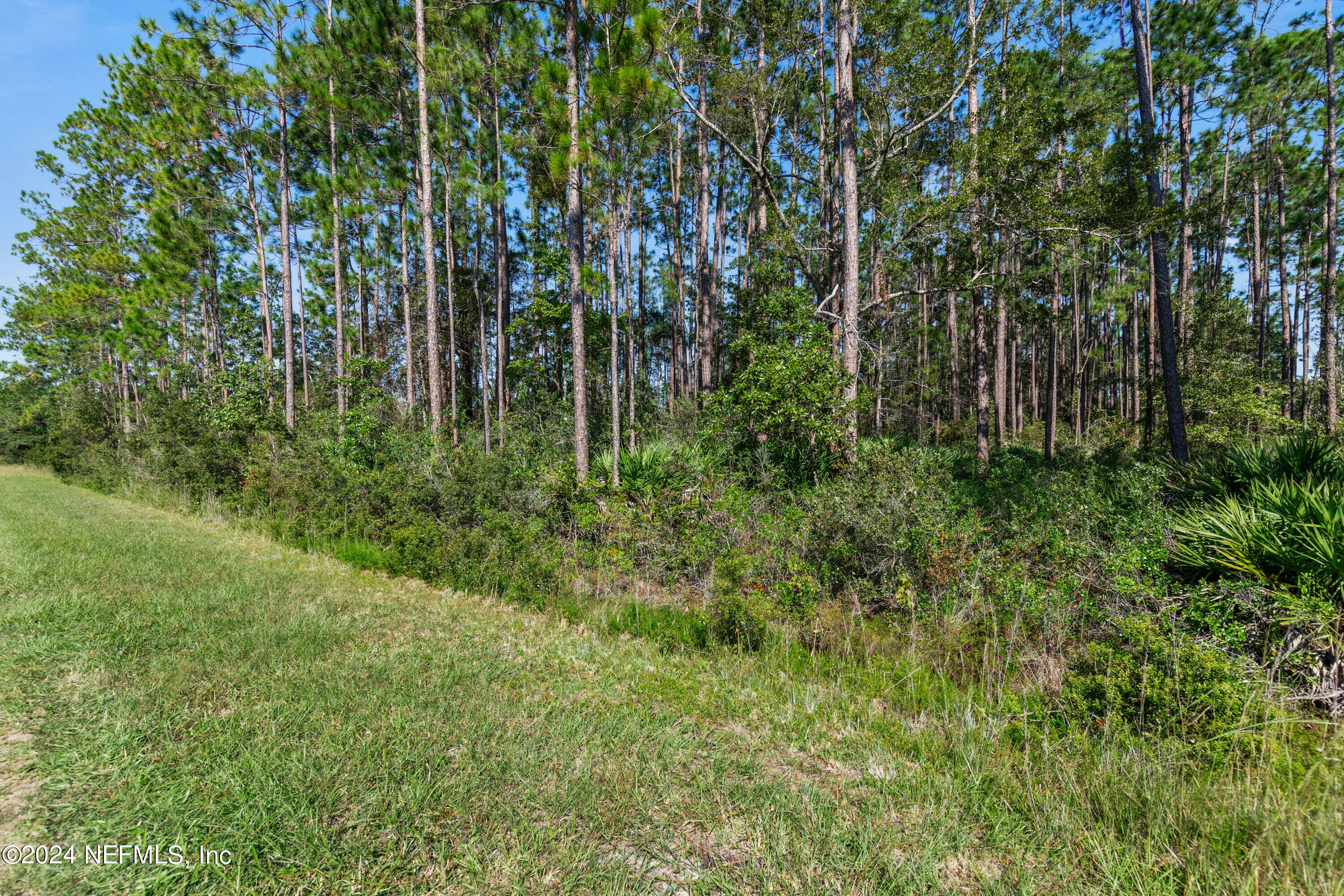 Property Photo:  4628 Kangaroo Street  FL 32068 