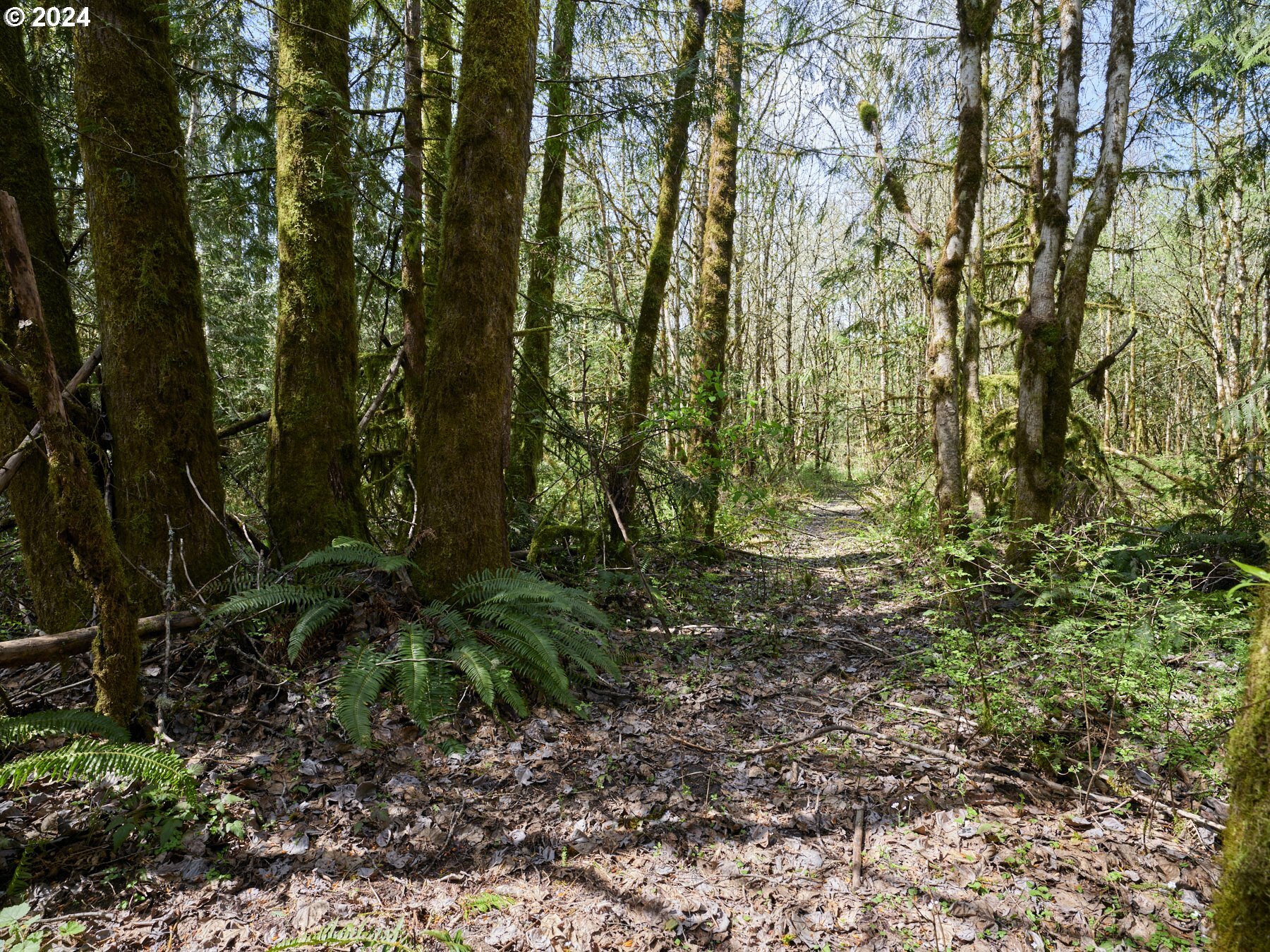 Property Photo:  9701 NE 299th  WA 98604 