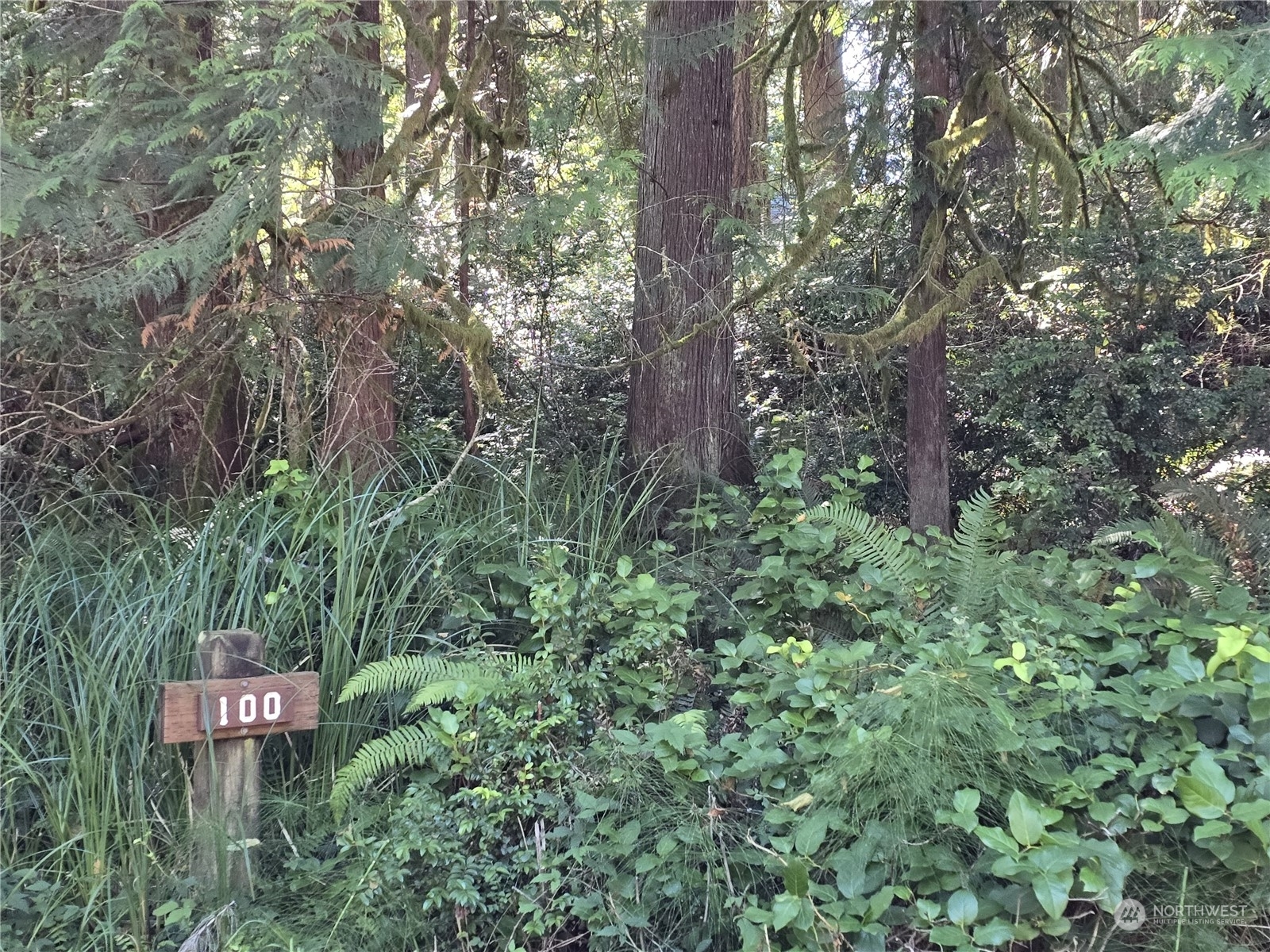 Property Photo:  100 E Liberty Road  WA 98584 