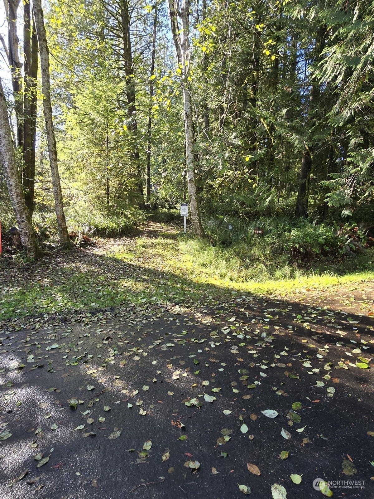 Property Photo:  100 E Liberty Road  WA 98584 