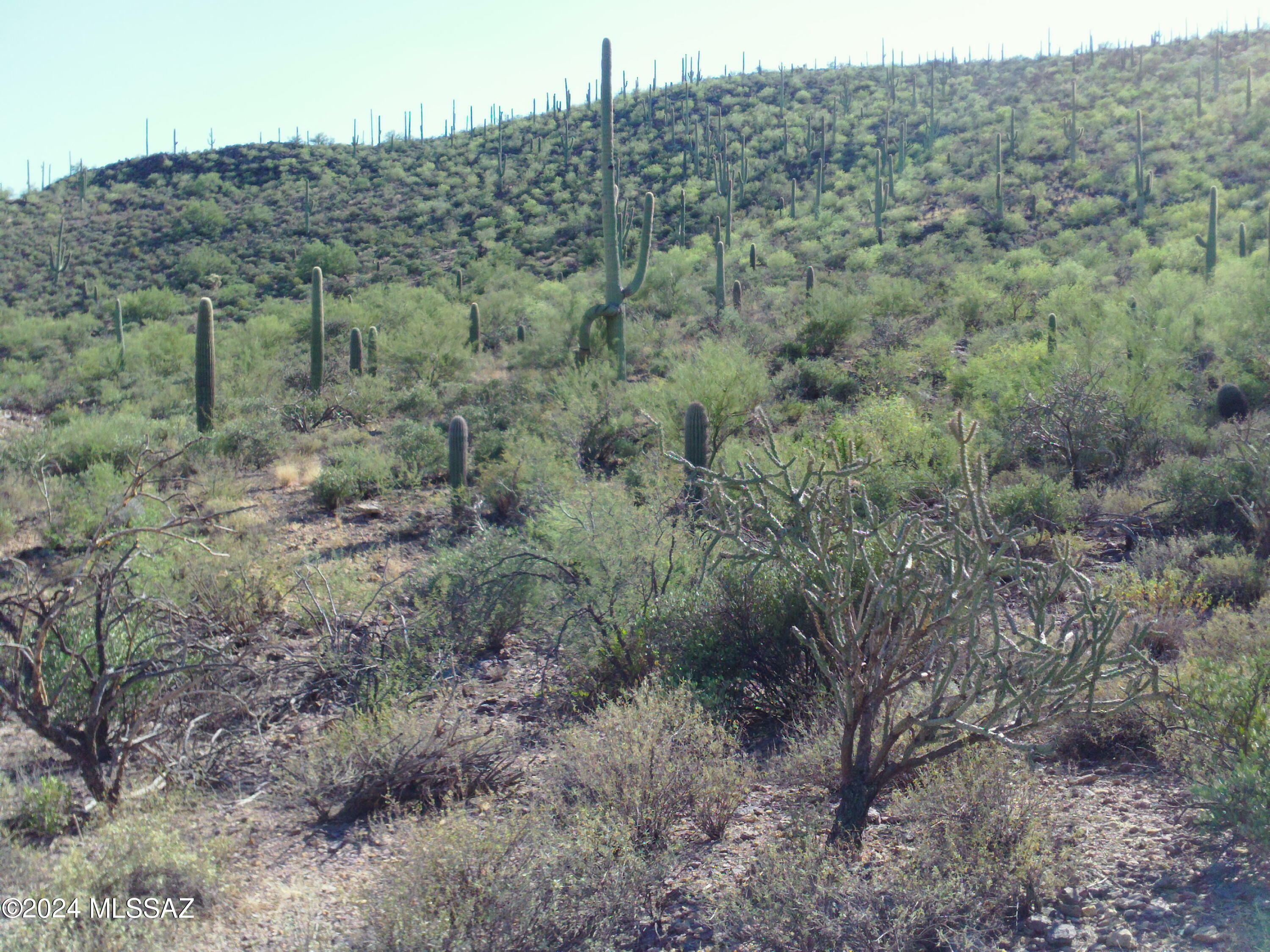 Property Photo:  4945 W Crestview Drive Lot 2  AZ 85745 