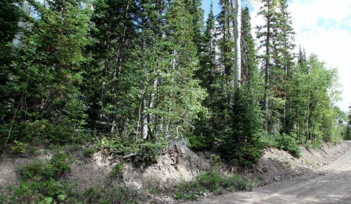 Property Photo: 466 N Falcon Ct Unit C UT 84719