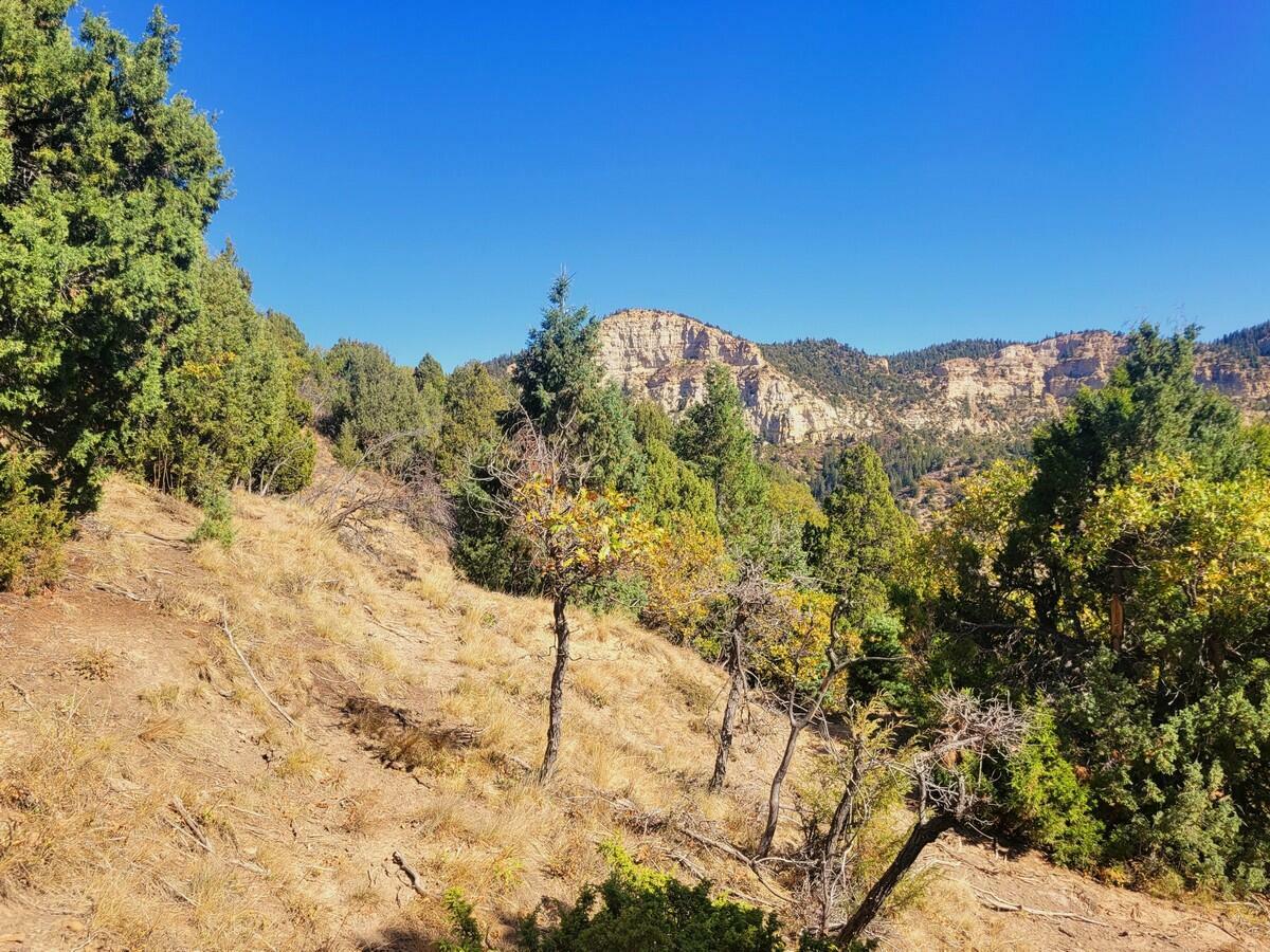 Property Photo:  Lot 18 White Sands Loop  UT 84762 