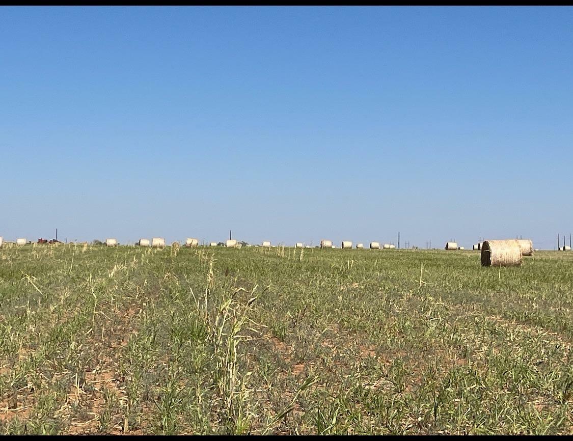 0 County Road 5350  Lubbock TX 79415 photo