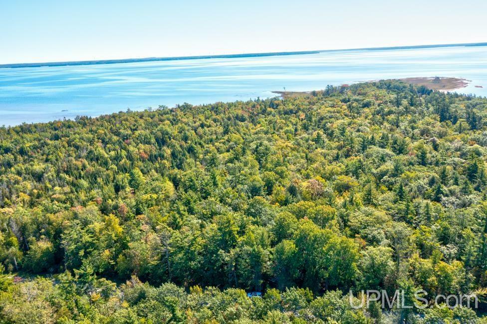 Property Photo:  20.10 A Off County 495 Road  MI 49864 