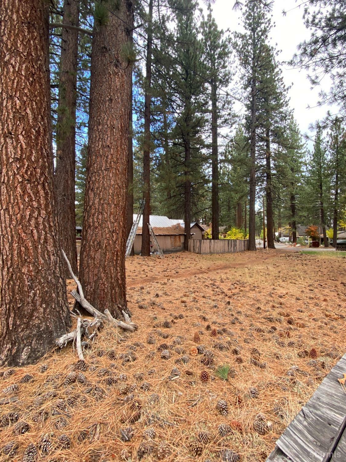 Property Photo:  1149 Omalley Drive  CA 96150 