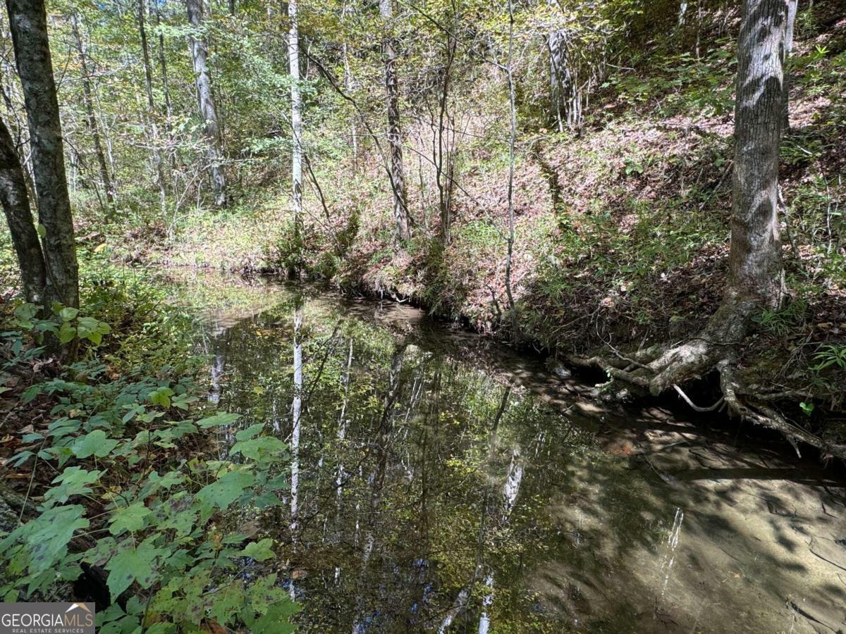 Property Photo:  0 Off Hwy 52 East  GA 30534 