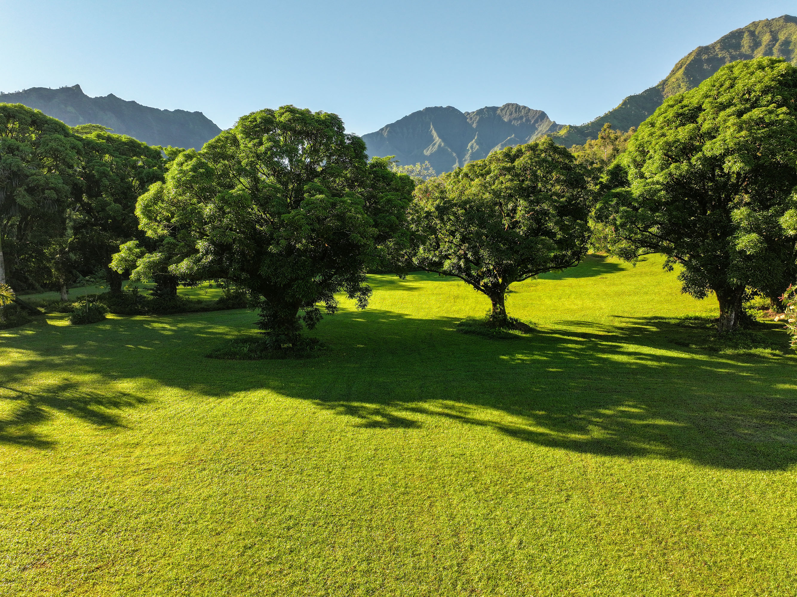 Property Photo:  Kuhio Hwy  HI 96714 