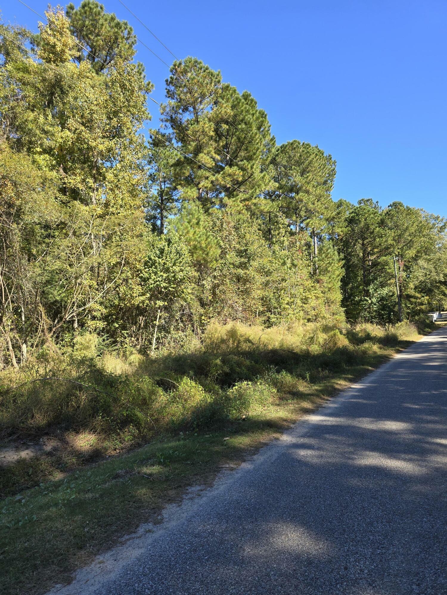 Property Photo:  0 Deep Woods Road  SC 29477 