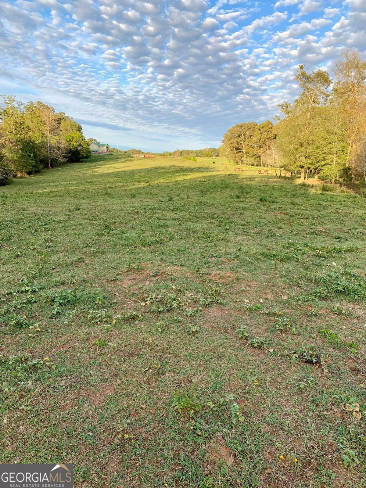 Property Photo:  0 Harris Farms Road  GA 30549 