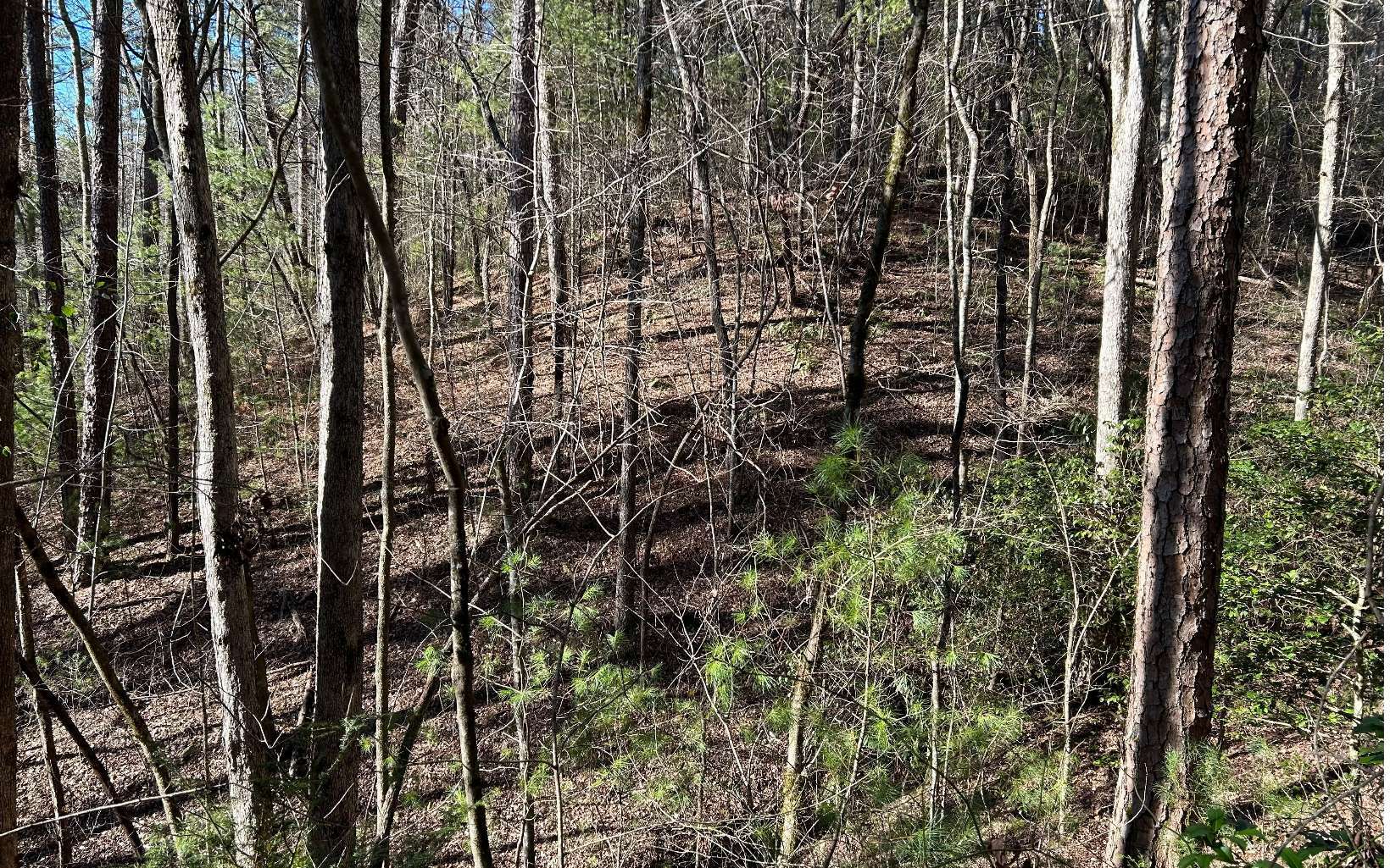 Property Photo:  Lt 77 Roaring Forks Lane  GA 30540 