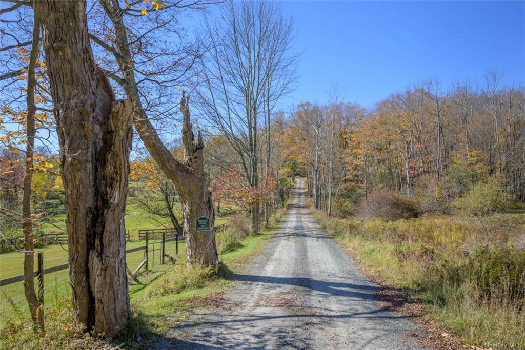 Property Photo:  35 Old Inn Road  NY 12420 