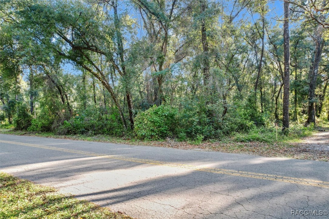 Property Photo:  4223 S William Avenue  FL 34452 