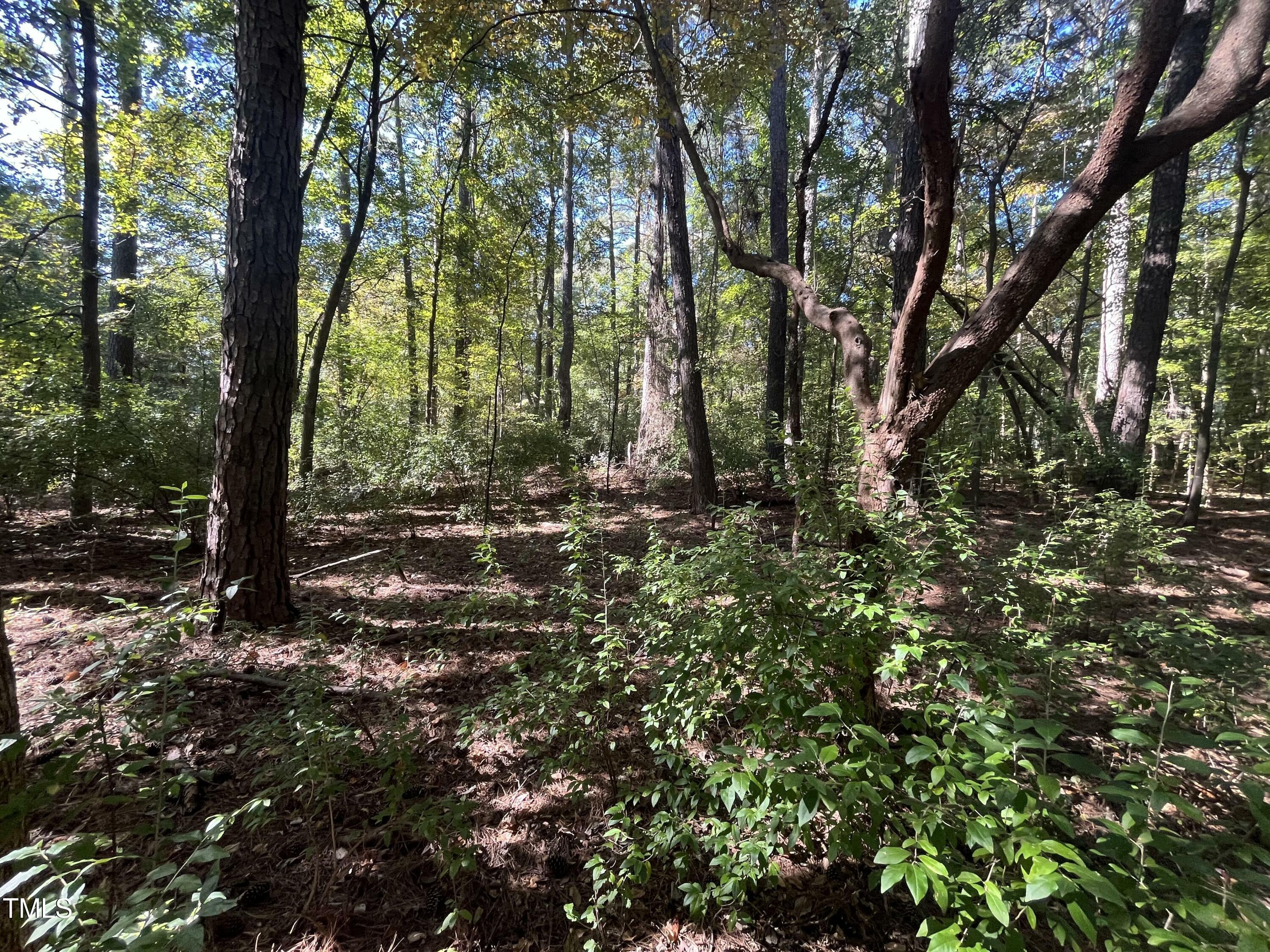 Property Photo:  0 Crump Road  NC 27606 