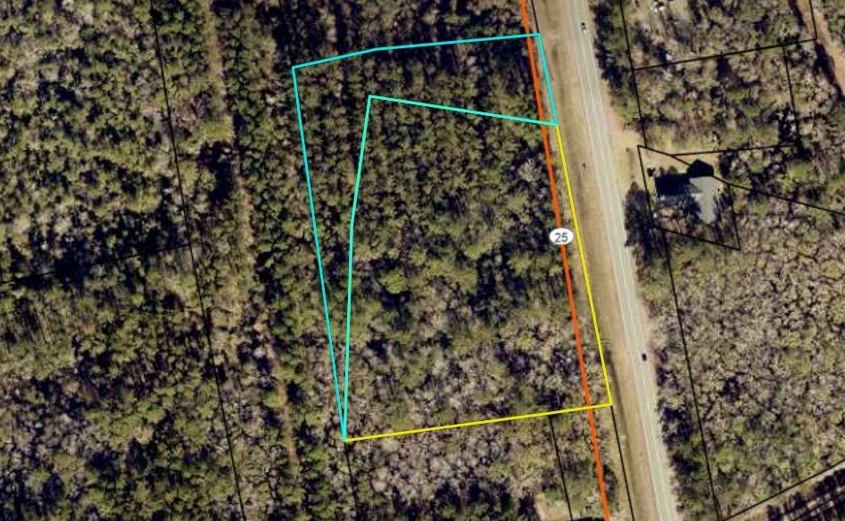 Property Photo:  V/L Cornelia Armstrong Tract 1 & 2  GA 31569 