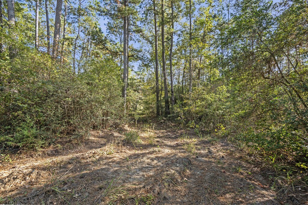 Property Photo:  R38080 Sandy Creek Road  TX 75980 