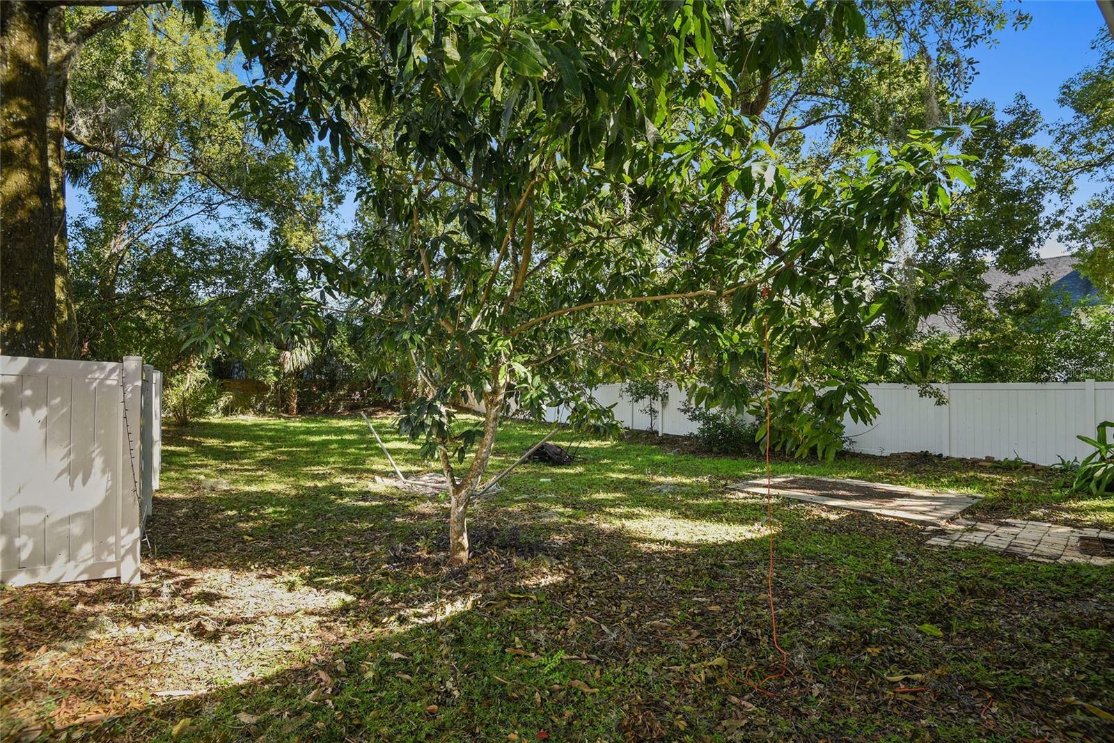 Property Photo:  471 W Comstock Avenue  FL 32789 