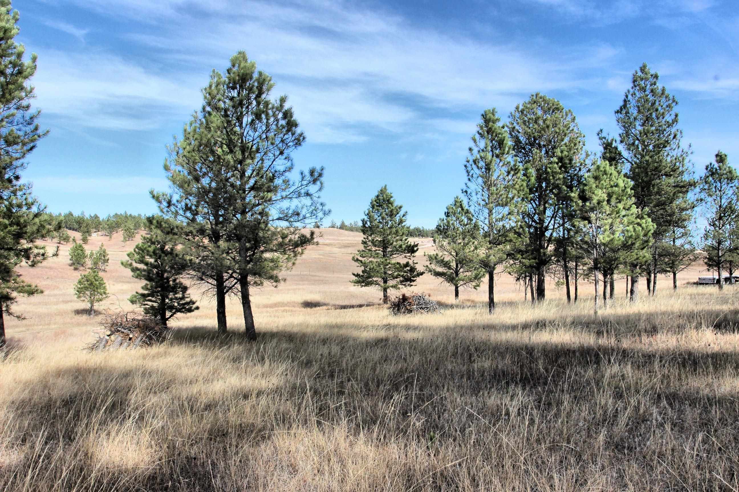 Property Photo:  Lot 3 &Amp 6 Red Rock Lane  SD 57773 