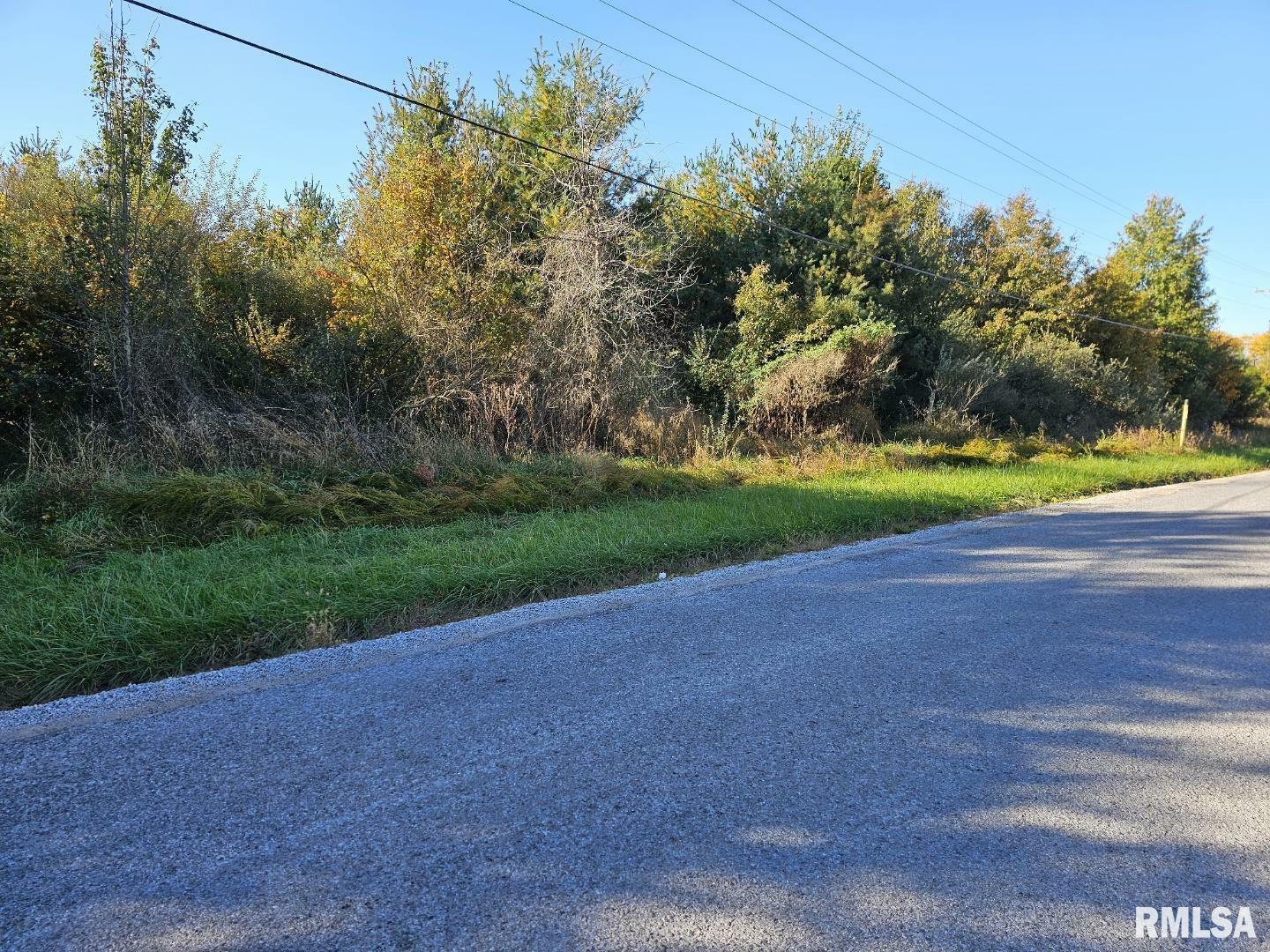 Property Photo:  0000 E Hutchison Road  IL 62864 