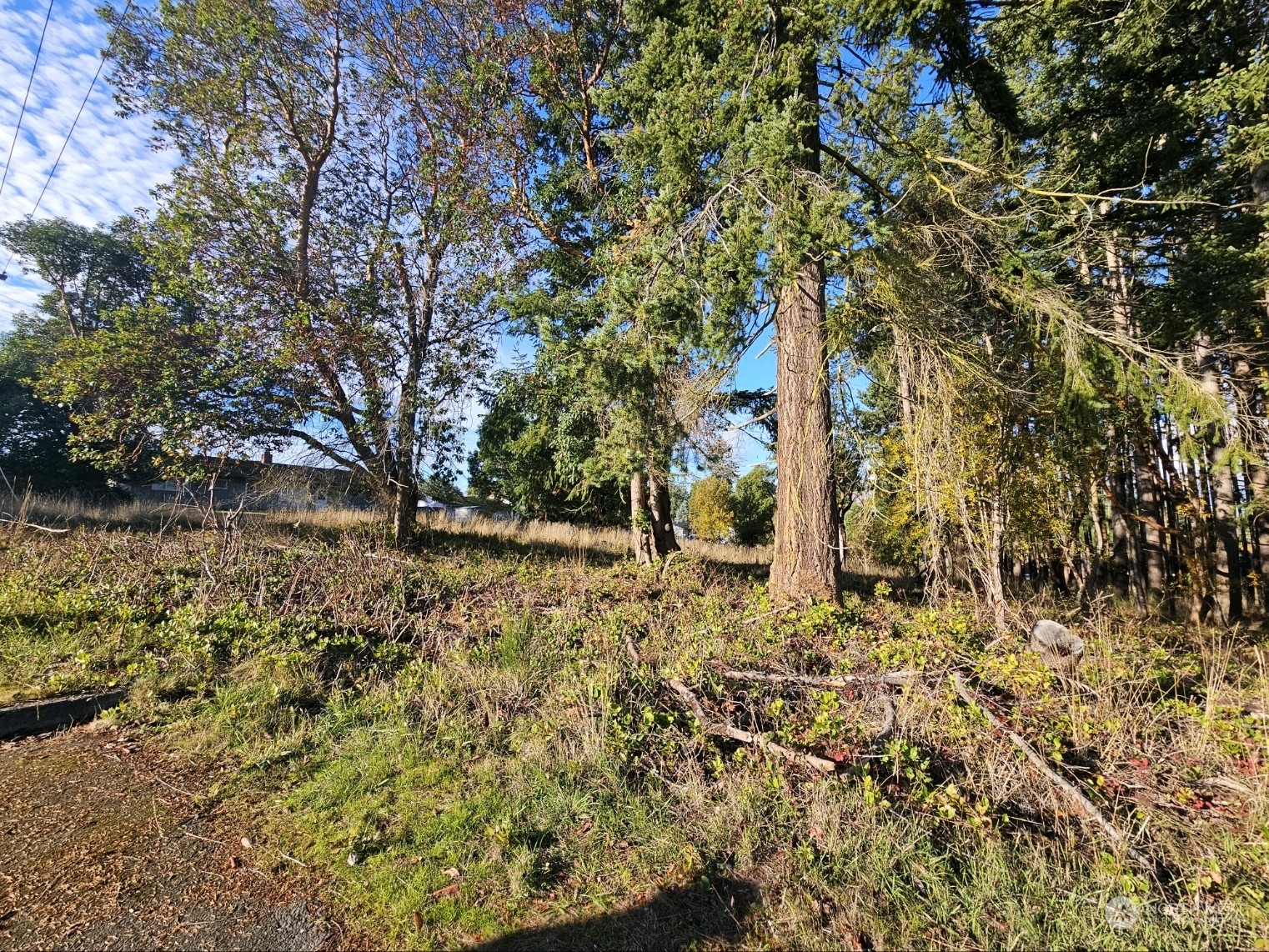 Property Photo:  0  Lot 3 West 8th Street  WA 98363 