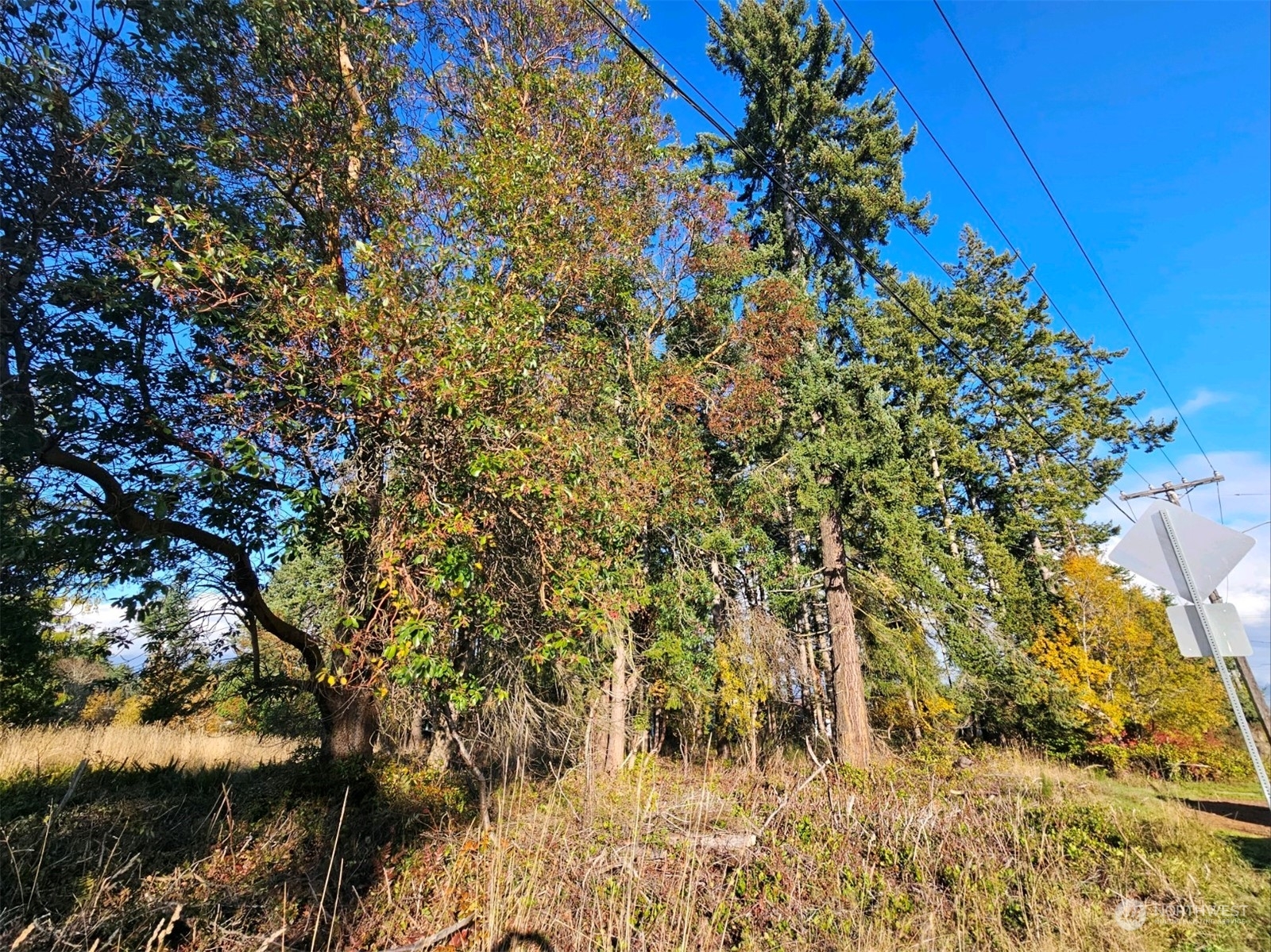 Property Photo:  0  Lot 2 West 8th Street  WA 98363 